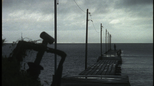 臍帯 1枚目の写真・画像