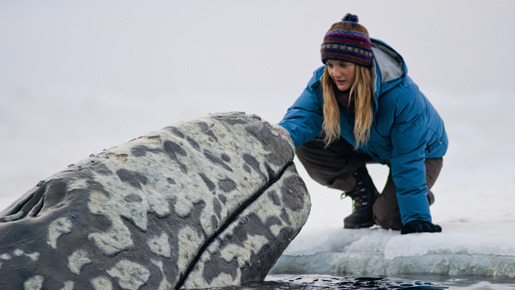 だれもがクジラを愛してる。 2枚目の写真・画像