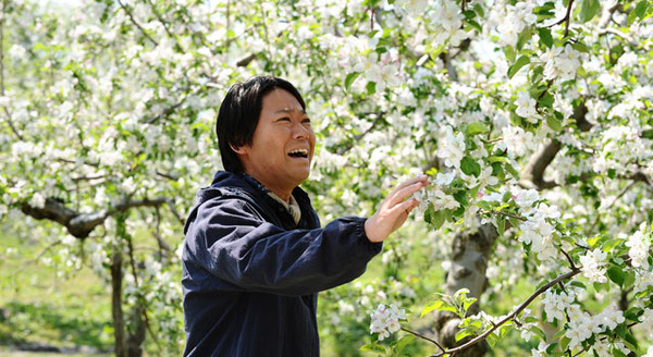 奇跡のリンゴ 2枚目の写真・画像