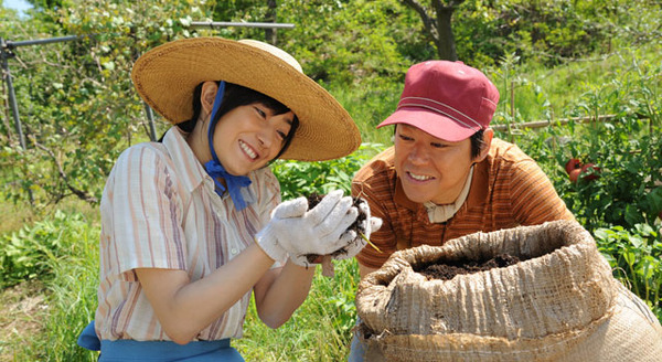 奇跡のリンゴ 4枚目の写真・画像