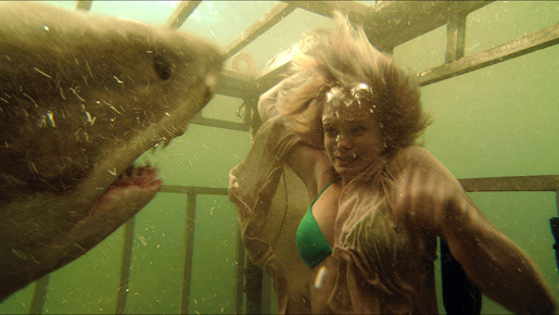 シャーク・ナイト 1枚目の写真・画像