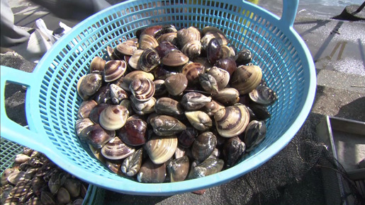 長良川ド根性 5枚目の写真・画像