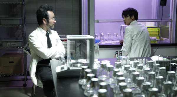 シャニダールの花 9枚目の写真・画像