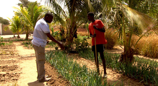 世界が食べられなくなる日 5枚目の写真・画像