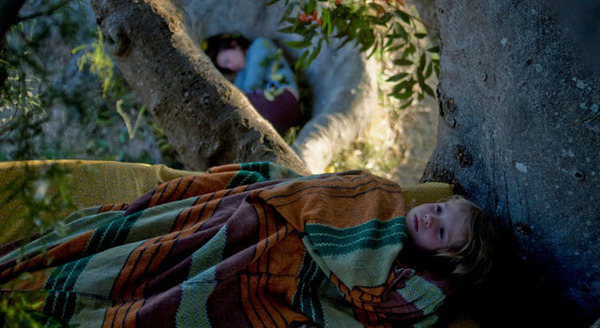 パパの木 3枚目の写真・画像