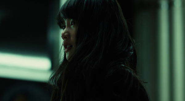 桜並木の満開の下に 6枚目の写真・画像