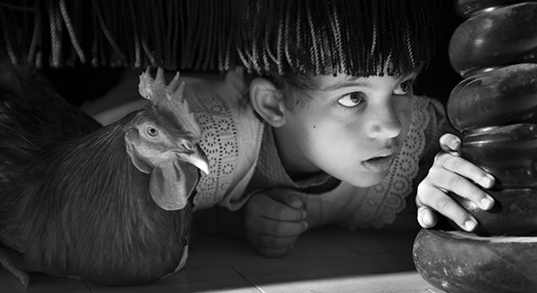 ブランカニエベス 4枚目の写真・画像