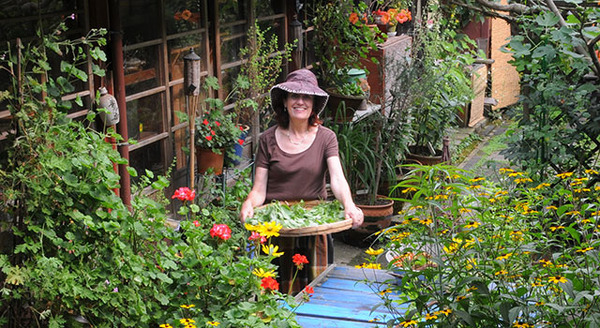 ベニシアさんの四季の庭 1枚目の写真・画像