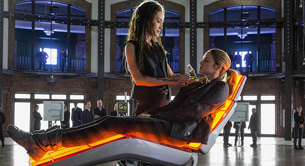 ダイバージェント 2枚目の写真・画像