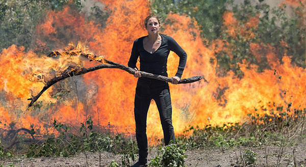 ダイバージェント 8枚目の写真・画像