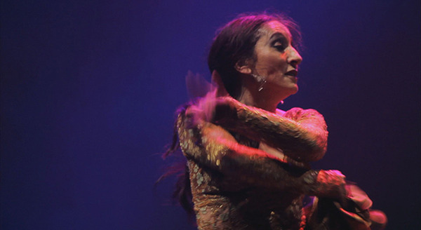 ジプシー・フラメンコ 1枚目の写真・画像