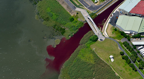 天空からの招待状 7枚目の写真・画像