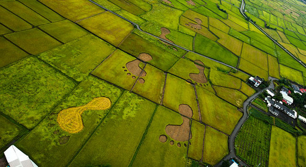 天空からの招待状 8枚目の写真・画像