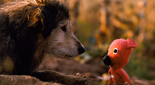 クーキー 6枚目の写真・画像