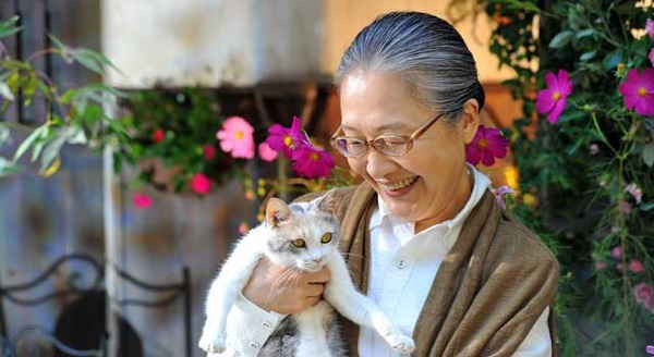 先生と迷い猫 6枚目の写真・画像