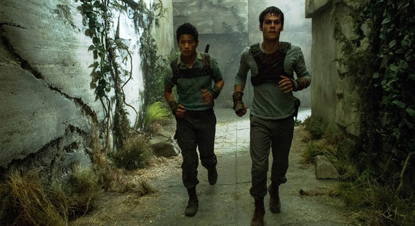 メイズ・ランナー 3枚目の写真・画像