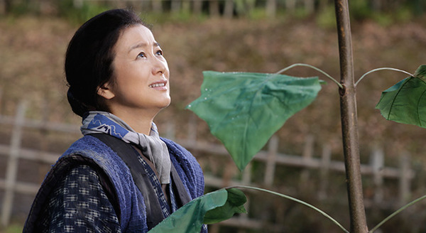 おかあさんの木 3枚目の写真・画像