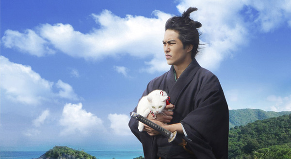 猫侍 南の島へ行く 1枚目の写真・画像