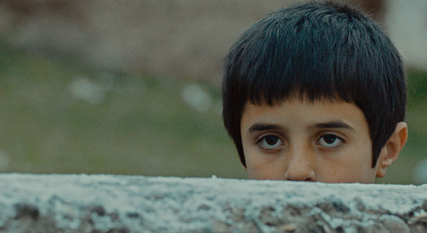 シーヴァス　王子さまになりたかった少年と負け犬だった闘犬の物語 1枚目の写真・画像