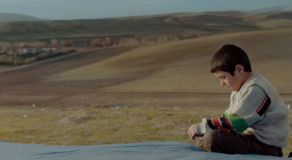 シーヴァス　王子さまになりたかった少年と負け犬だった闘犬の物語 5枚目の写真・画像