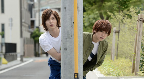 羊をかぞえる。 2枚目の写真・画像