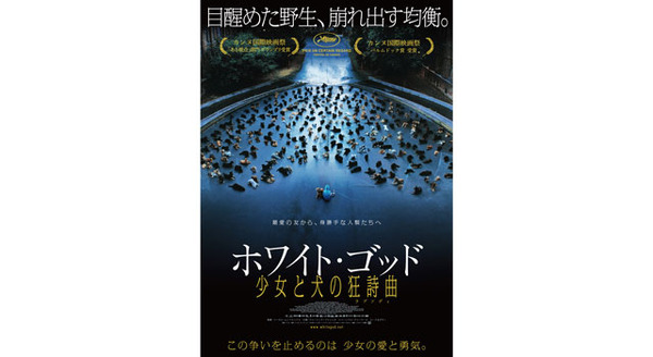 ホワイト・ゴッド　少女と犬の狂詩曲 6枚目の写真・画像