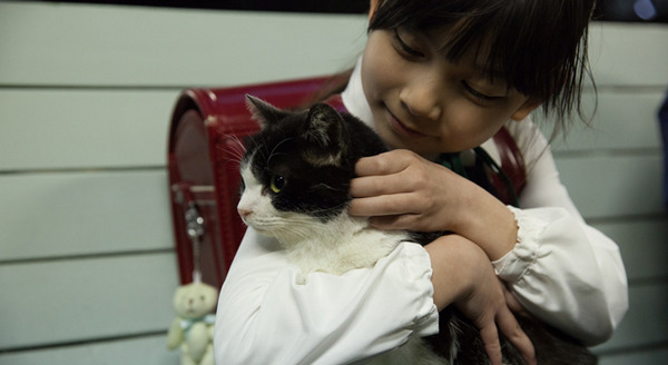 4／猫 -ねこぶんのよん- 1枚目の写真・画像