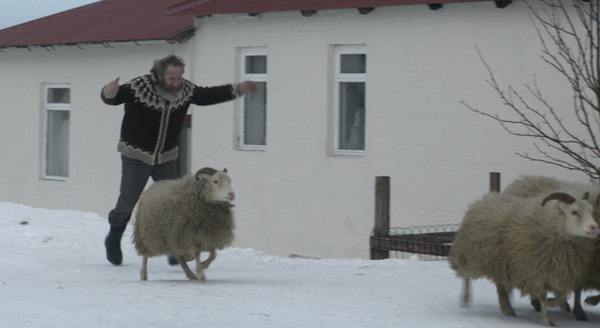 ひつじ村の兄弟 4枚目の写真・画像