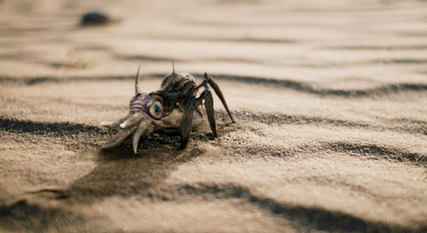 モンスターズ／新種襲来 9枚目の写真・画像