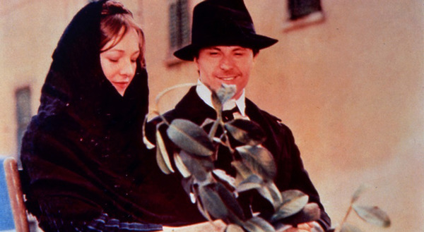 木靴の樹 2枚目の写真・画像