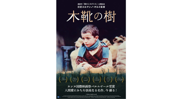 木靴の樹 6枚目の写真・画像