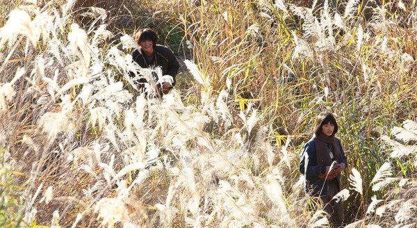 太陽 3枚目の写真・画像