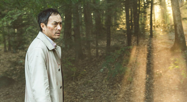 追憶の森 3枚目の写真・画像