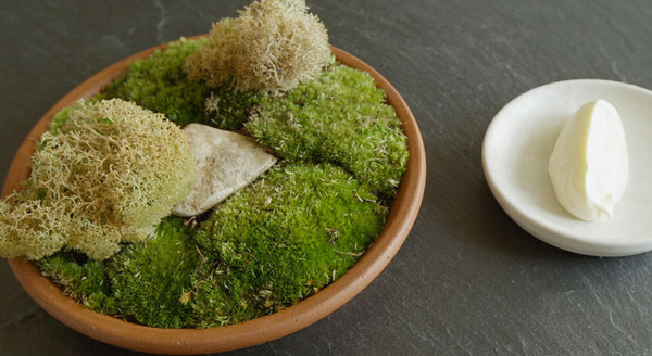 Photo by Pierre Deschamps ©2015 DOCUMENTREE FILMS LTD