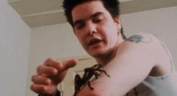 ザ・デクライン 1枚目の写真・画像