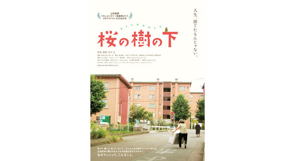 桜の樹の下 9枚目の写真・画像