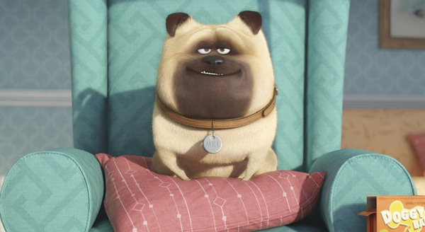 ペット 6枚目の写真・画像