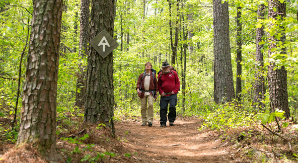 ロング・トレイル！ 8枚目の写真・画像