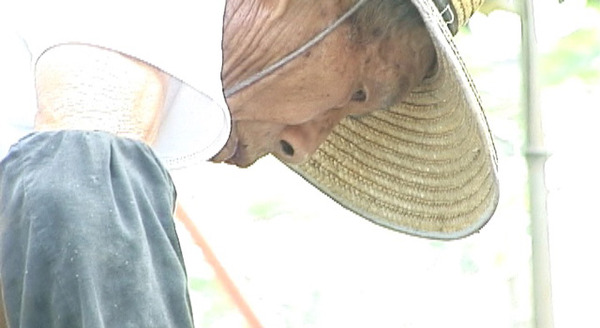 祖父の日記帳と私のビデオノート 6枚目の写真・画像