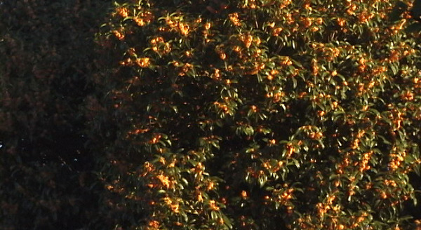 海へ　朴さんの手紙 6枚目の写真・画像