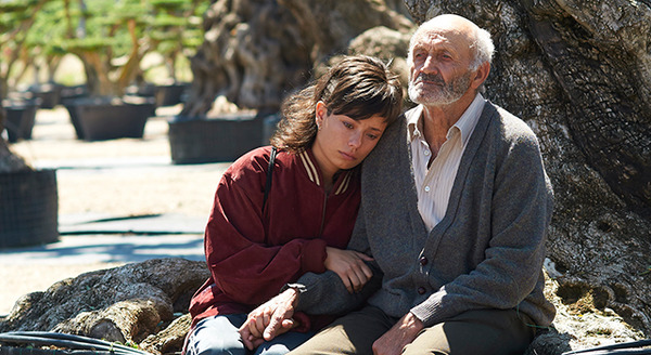 オリーブの樹は呼んでいる 1枚目の写真・画像