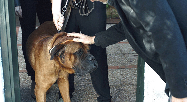 しあわせな人生の選択 3枚目の写真・画像