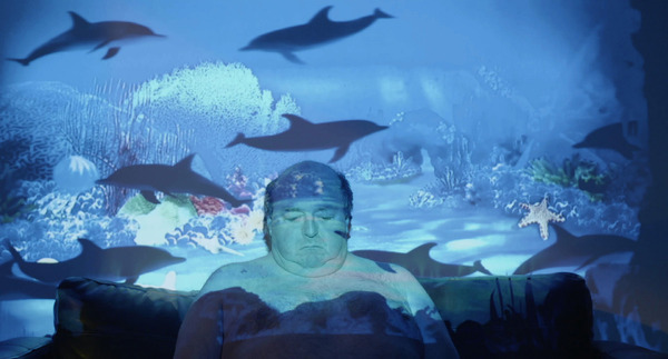 ウィリー ナンバー１ 2枚目の写真・画像