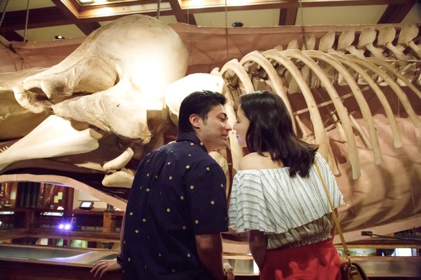 50回目のファーストキス 3枚目の写真・画像