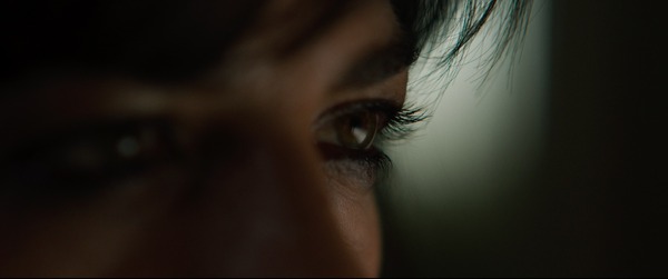 マッド・ダディ 15枚目の写真・画像