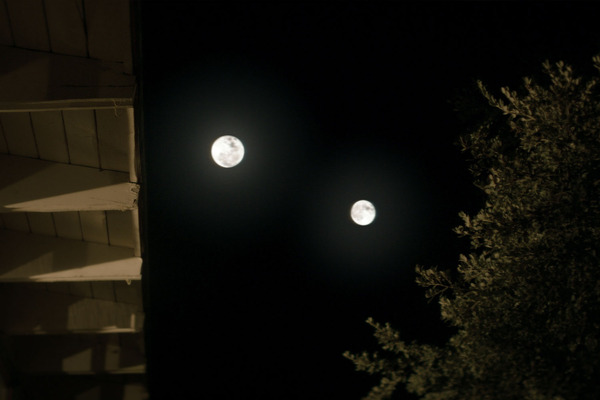 アルカディア 6枚目の写真・画像