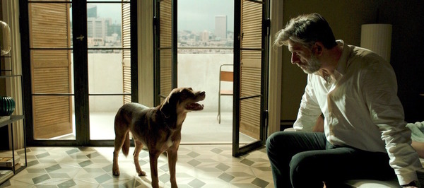 運命は踊る 4枚目の写真・画像