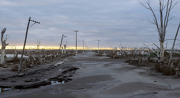 人類遺産 1枚目の写真・画像