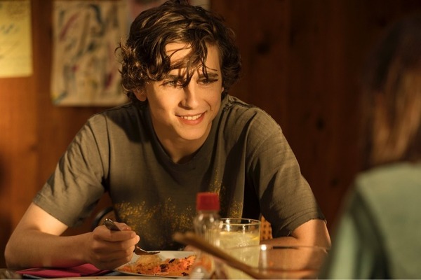 ビューティフル・ボーイ 8枚目の写真・画像