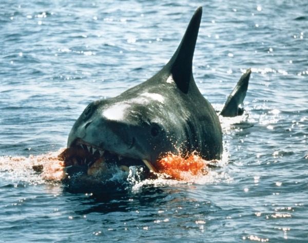 ジョーズ4／復讐篇(C)APOLLO